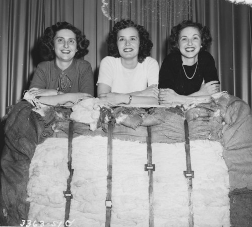 Photo of three women posing with a cotton bale